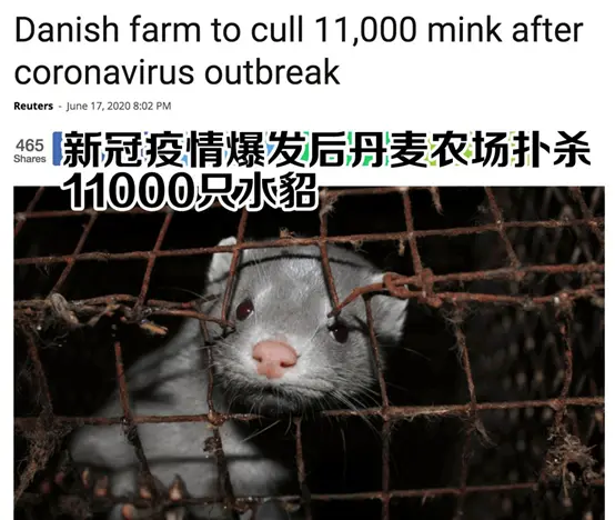 乐鱼体育亚洲官网-关于荷兰全面覆灭德国豪取晋级资格的信息