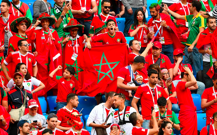 乐鱼体育网站入口-雄狮庆祝胜利，重返胜利走向