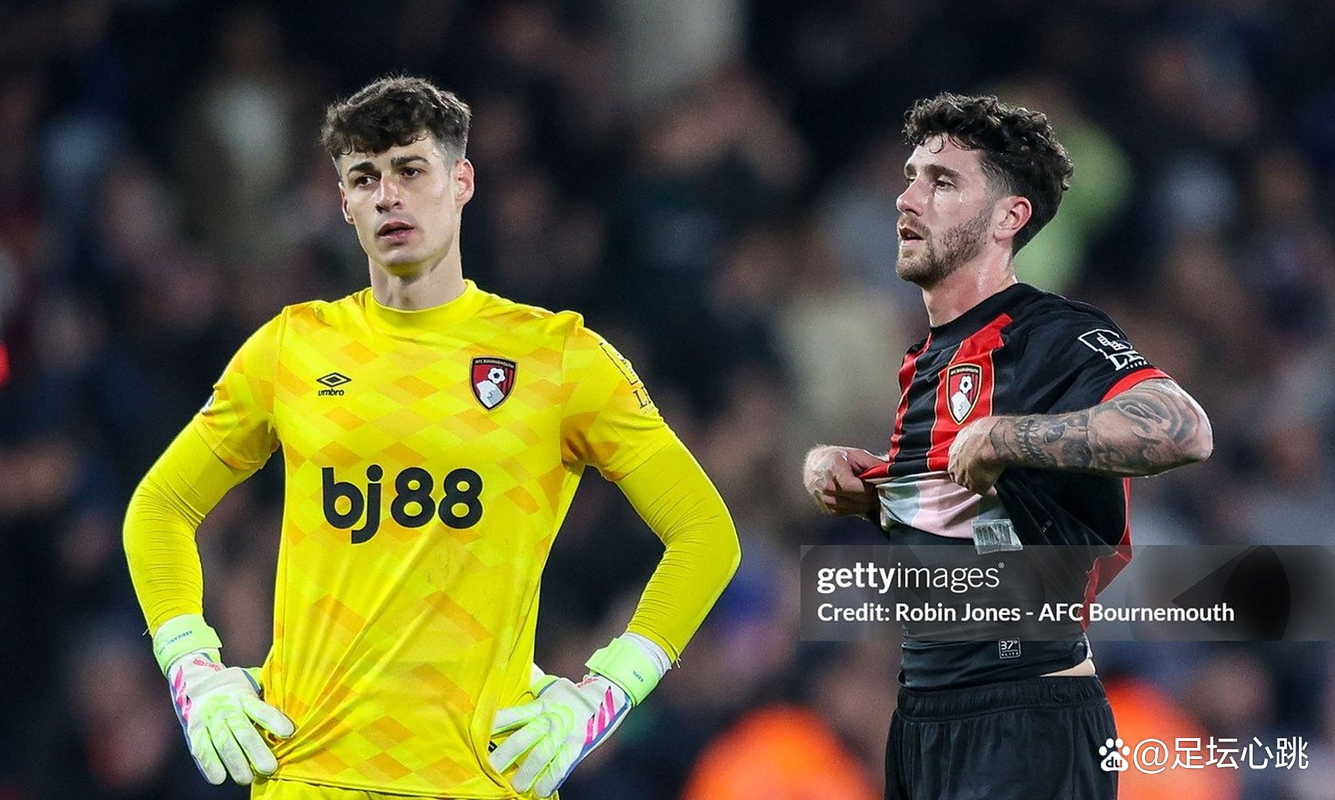 关于伯恩茅斯无力回天,布莱顿添丁加码的信息 关于伯恩茅斯无力回天,布莱顿添丁加码的信息