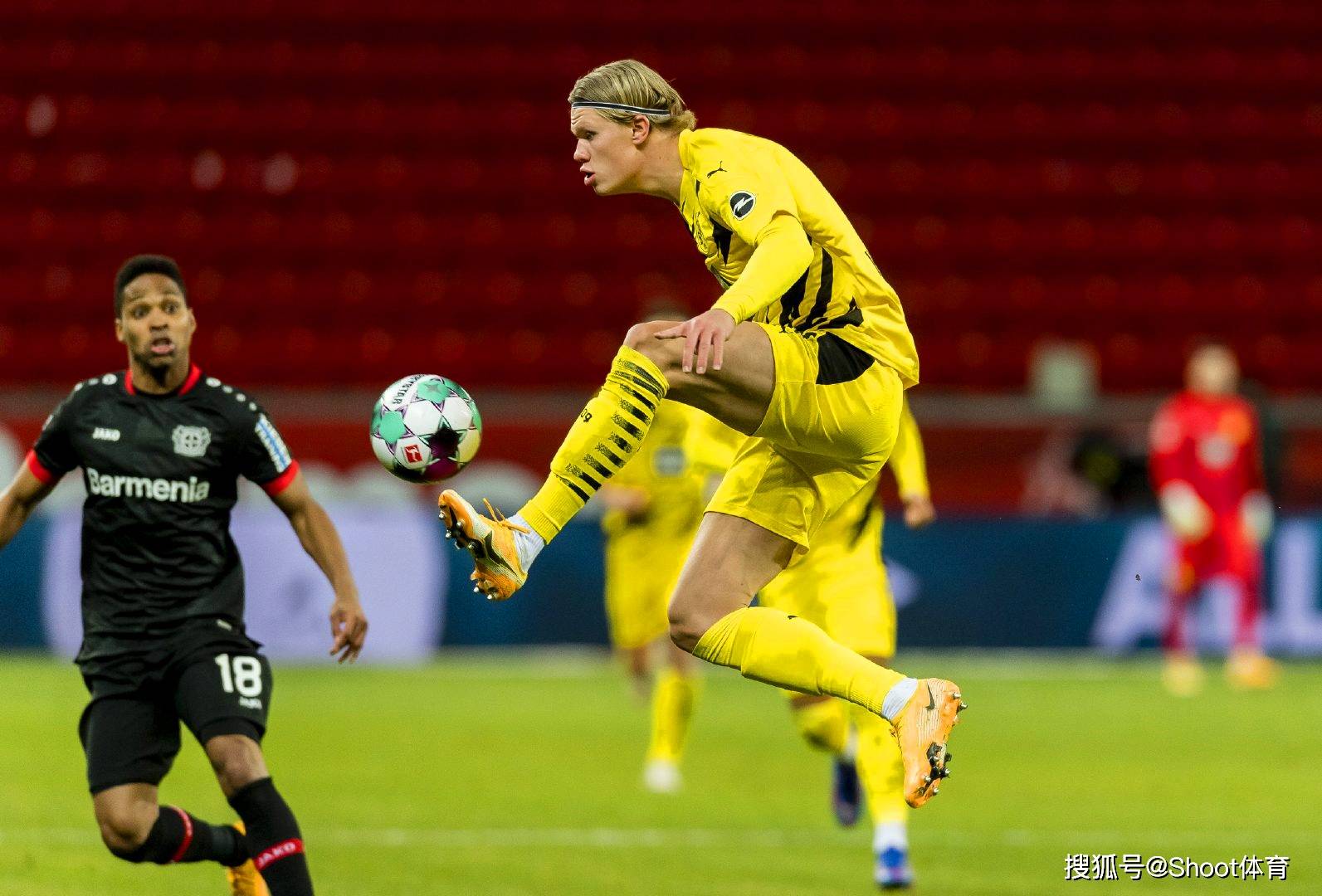 大黄蜂球队主场取胜，实现三连胜